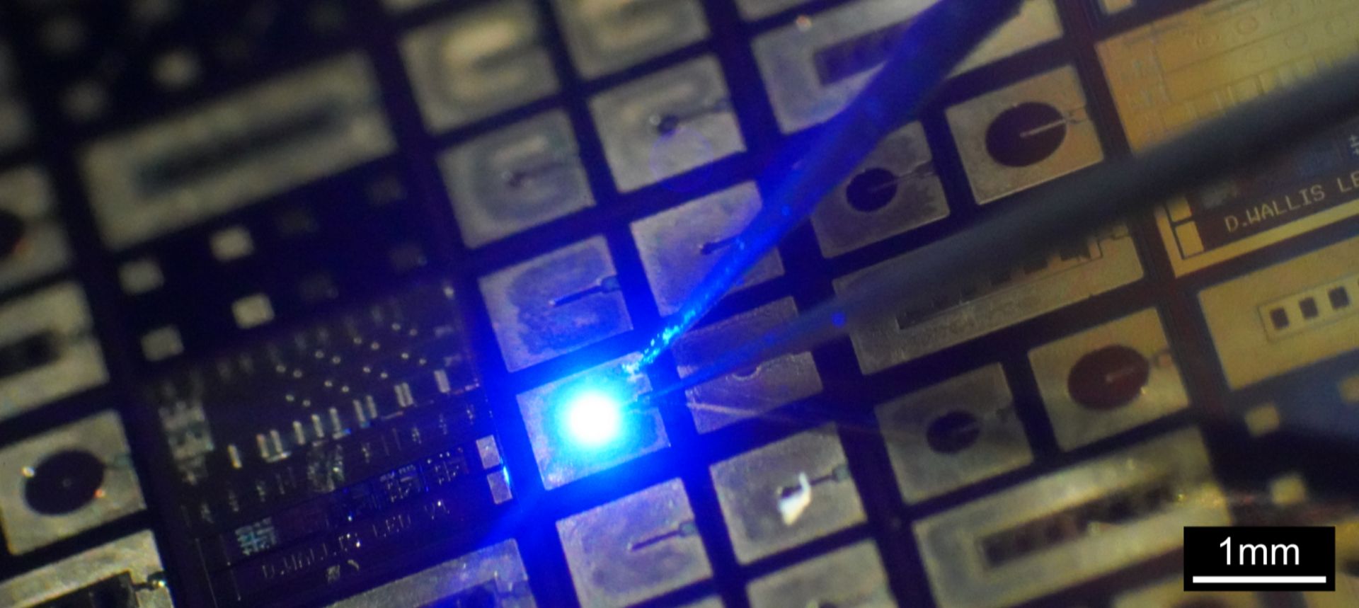 Impactful Applications